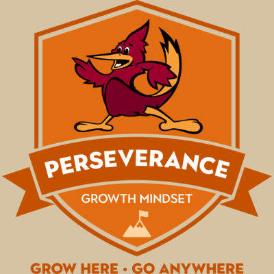 Perseverance Thumbnail